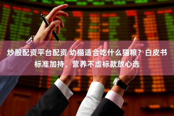 炒股配资平台配资 幼猫适合吃什么猫粮？白皮书标准加持，营养不虚标款放心选