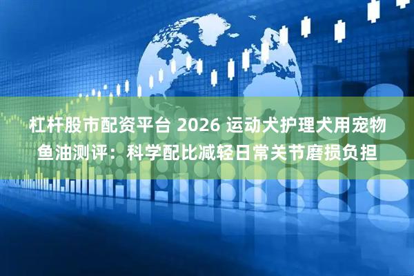 杠杆股市配资平台 2026 运动犬护理犬用宠物鱼油测评：科学配比减轻日常关节磨损负担