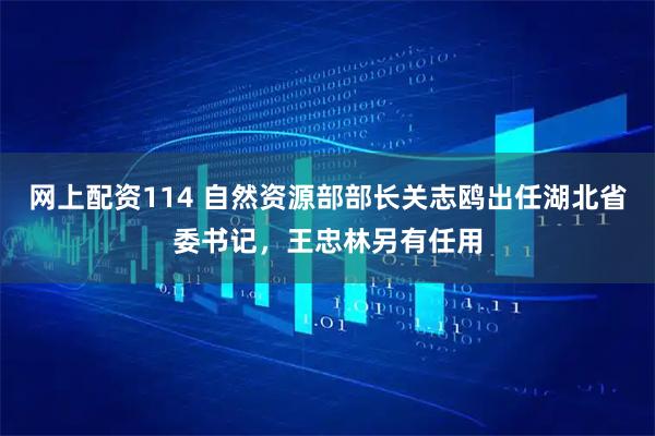 网上配资114 自然资源部部长关志鸥出任湖北省委书记，王忠林另有任用