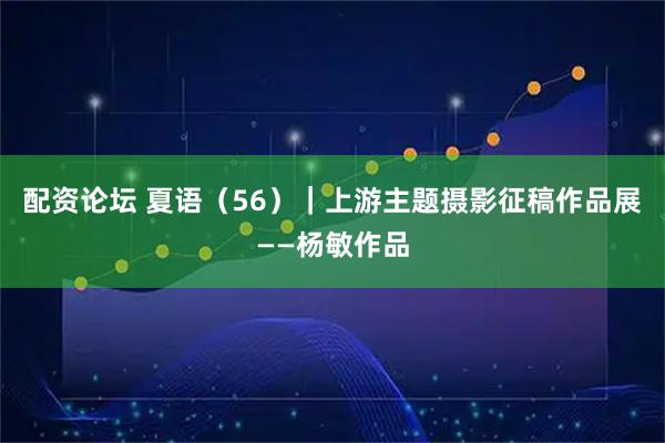 配资论坛 夏语（56）｜上游主题摄影征稿作品展——杨敏作品